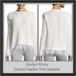 Beautiful design history feathers sweater top nwt